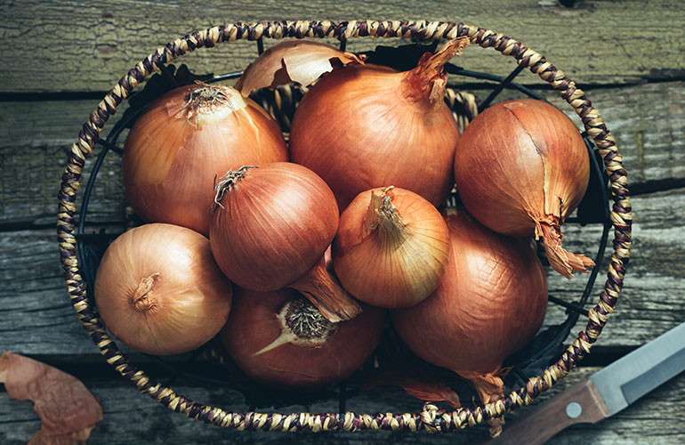 Garlic, onions, and high-fibre cousins