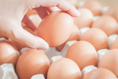 Chances are, you’ve been storing eggs the wrong way your whole life