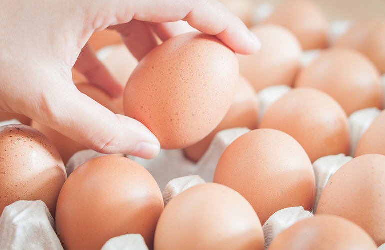 Eggs