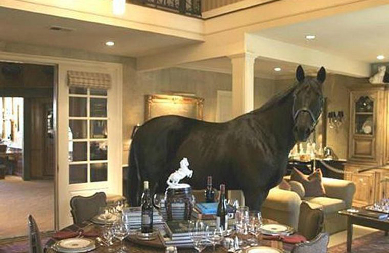 Hold your horses