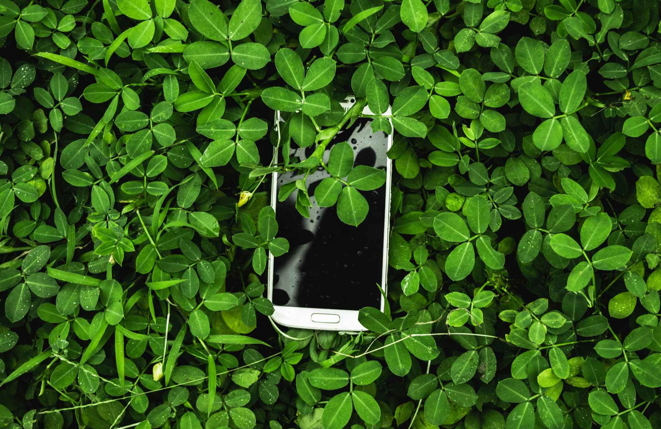 Abandoned or unsupported apps