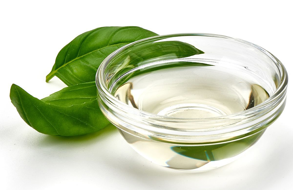 Vinegar fights infection (France)