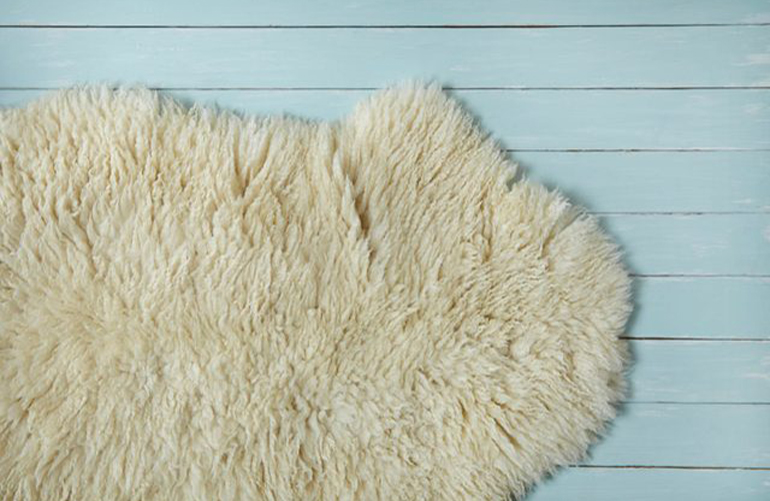 Be rug-smart
