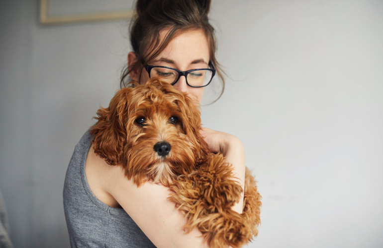 Dogs have a “sixth sense”