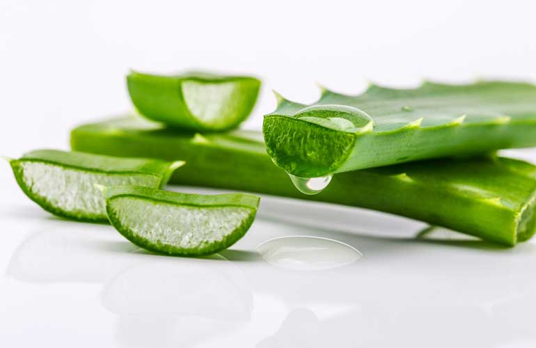Aloe vera relieves burns (Mexico)