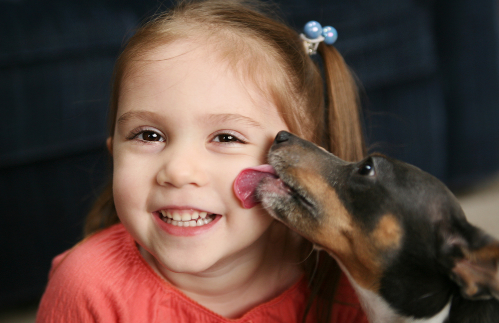 Those dog “kisses” don’t mean what you think