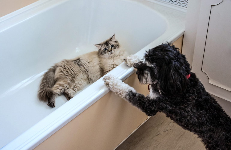 These bath time friends