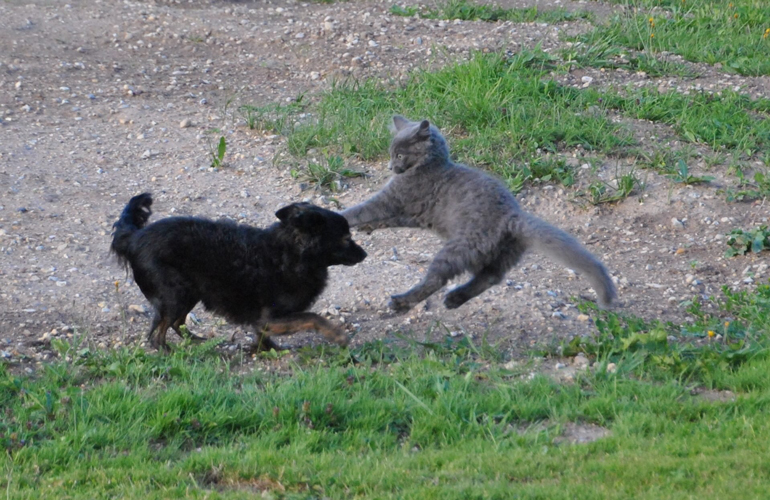 These two friends playing around.