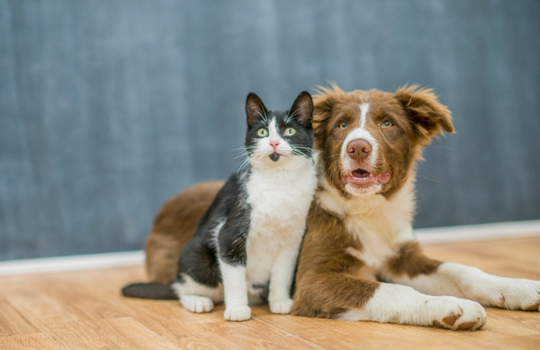 These best friends caught off guard.