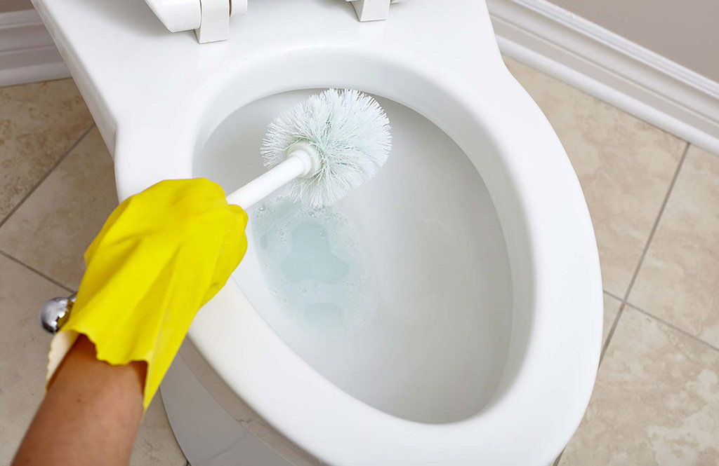 Mistake 5: Placing a toilet brush back into its holder immediately