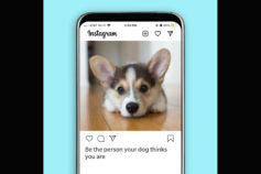 These 45 pawfect Instagram captions will turn your dog photos viral
