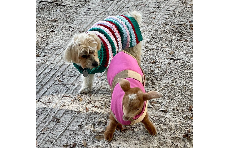Buddy and Mimi
