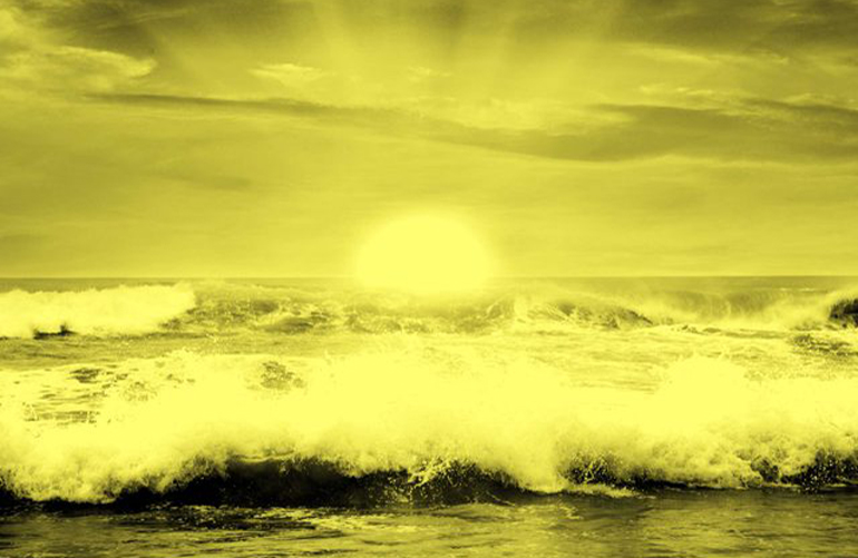 The sun