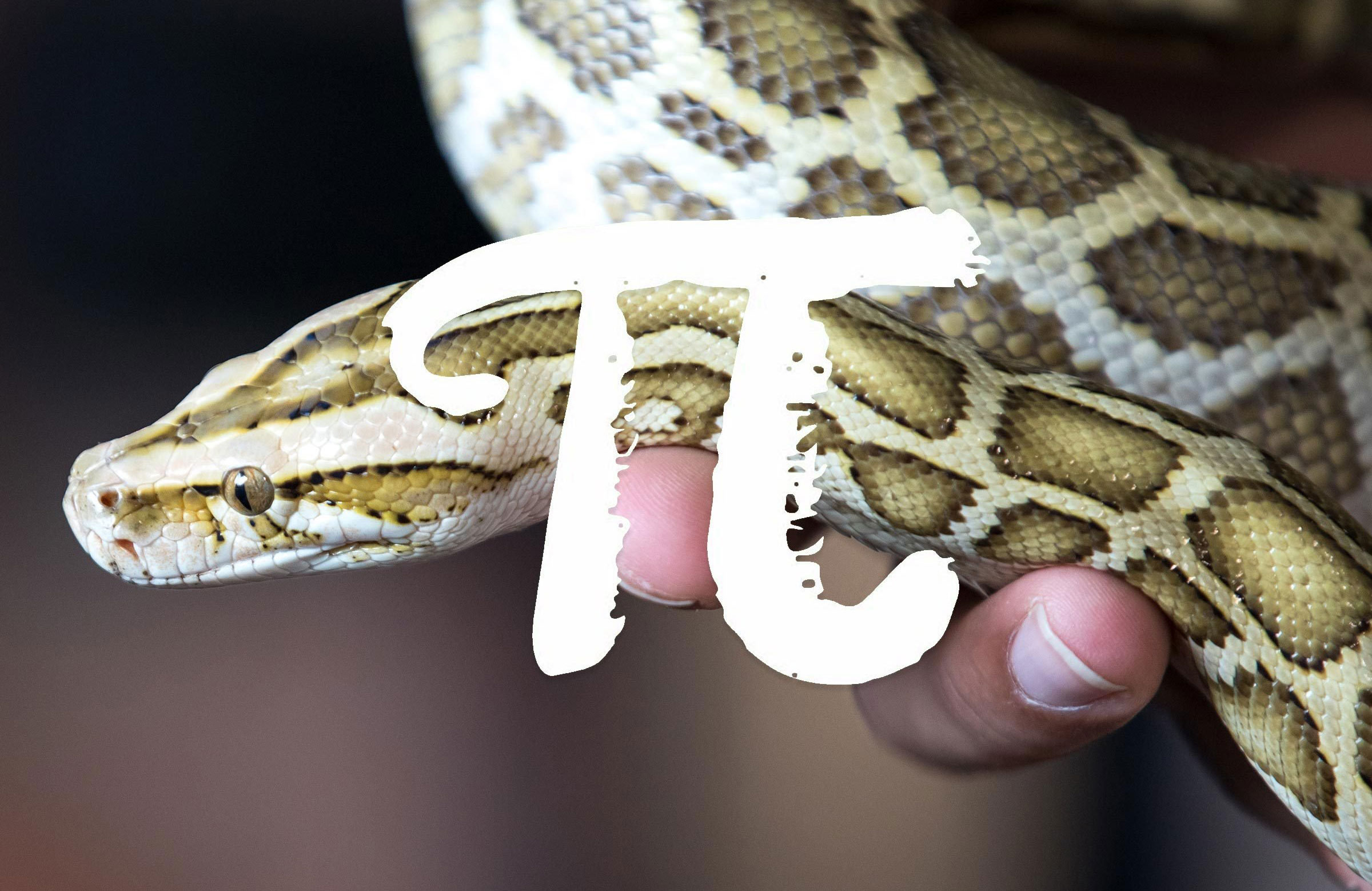 Pi makes people laugh