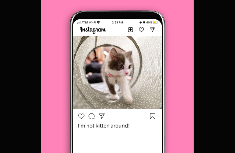 Cat Instagram captions for your kitten