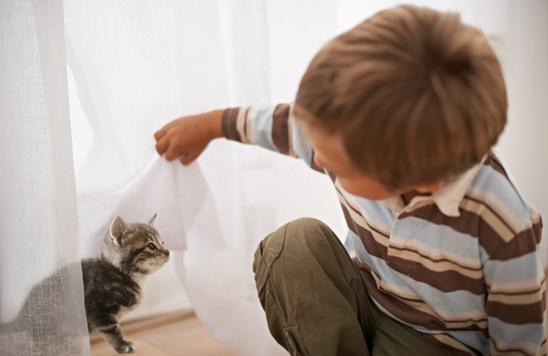 Don’t neglect window coverings