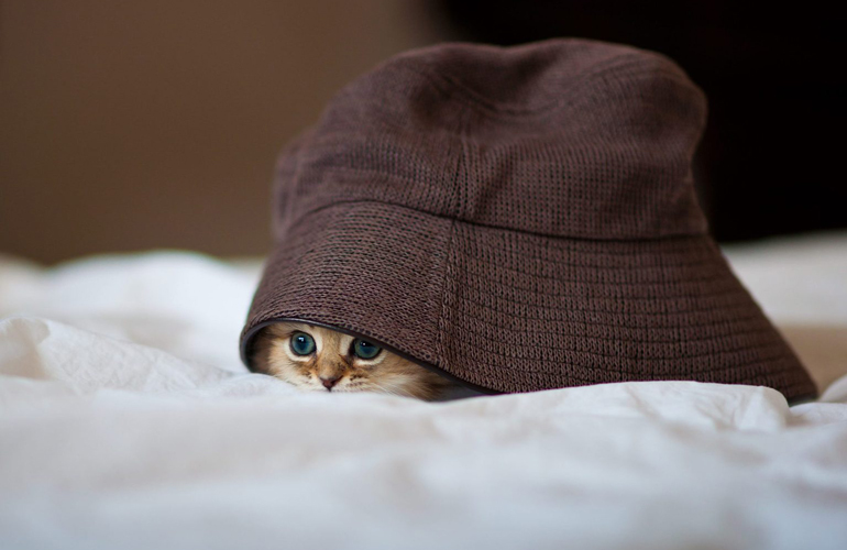 So much cuteness!