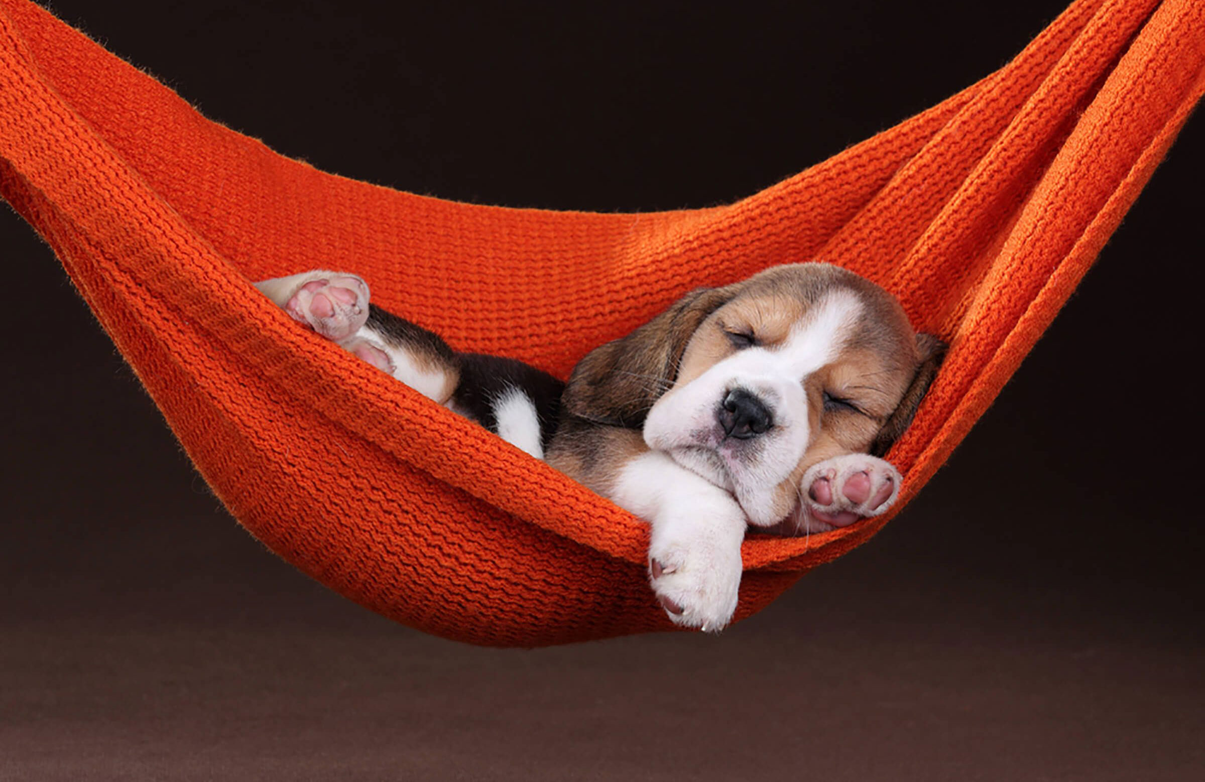 Expert-level snuggling