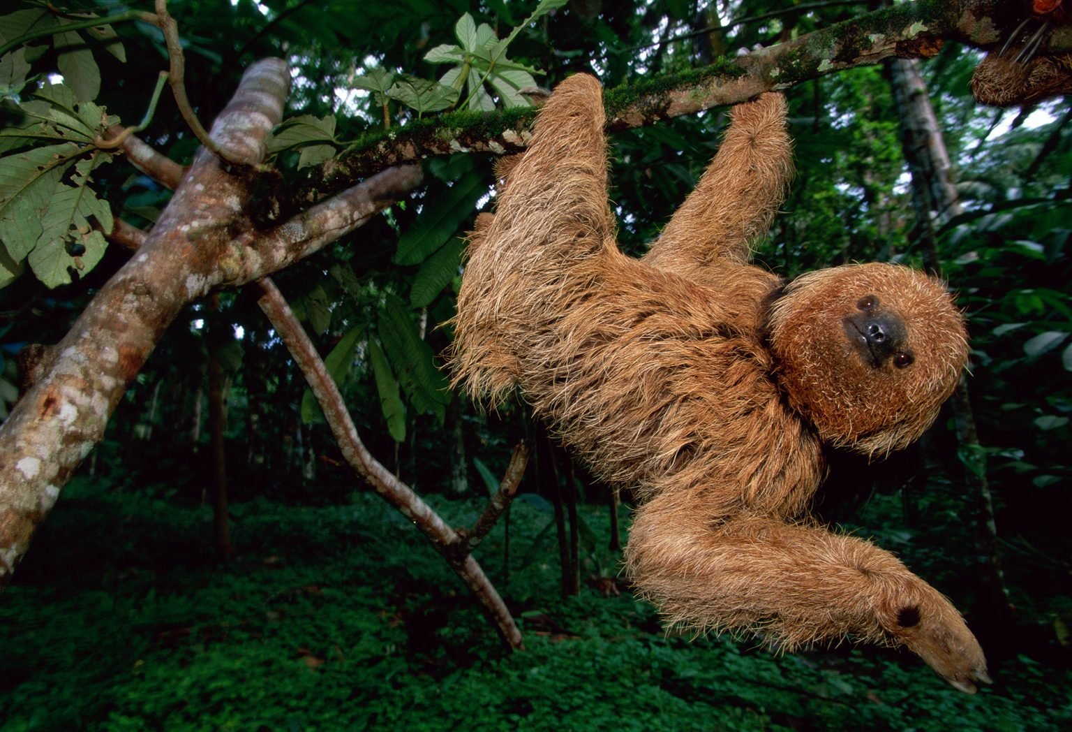 Just swinging by