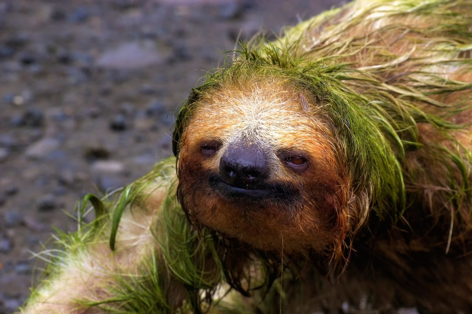 We’re digging the new hairdo