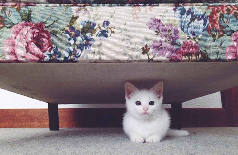 Peekaboo!