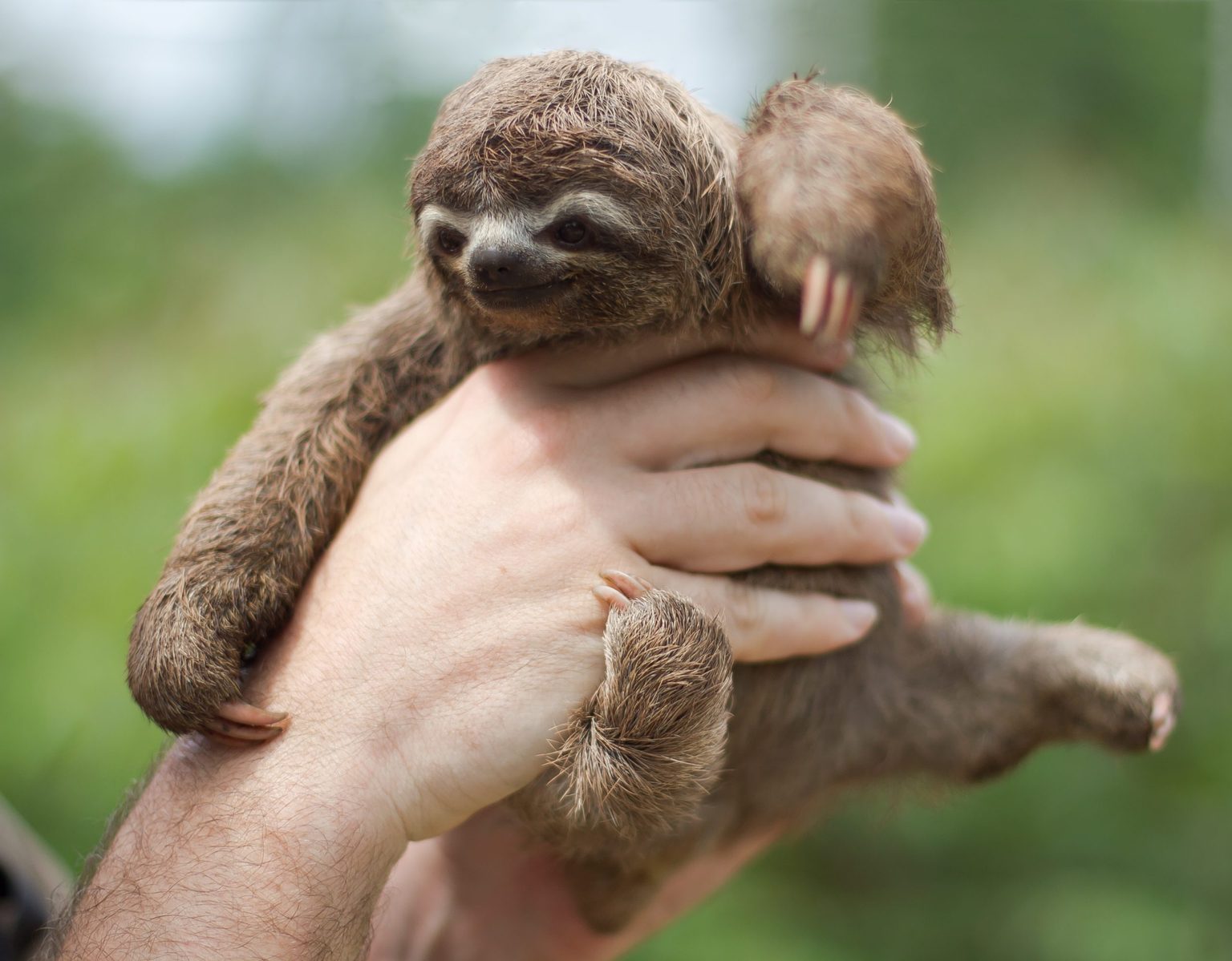Small (but mighty)