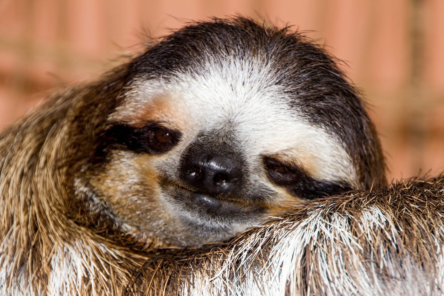 That face though