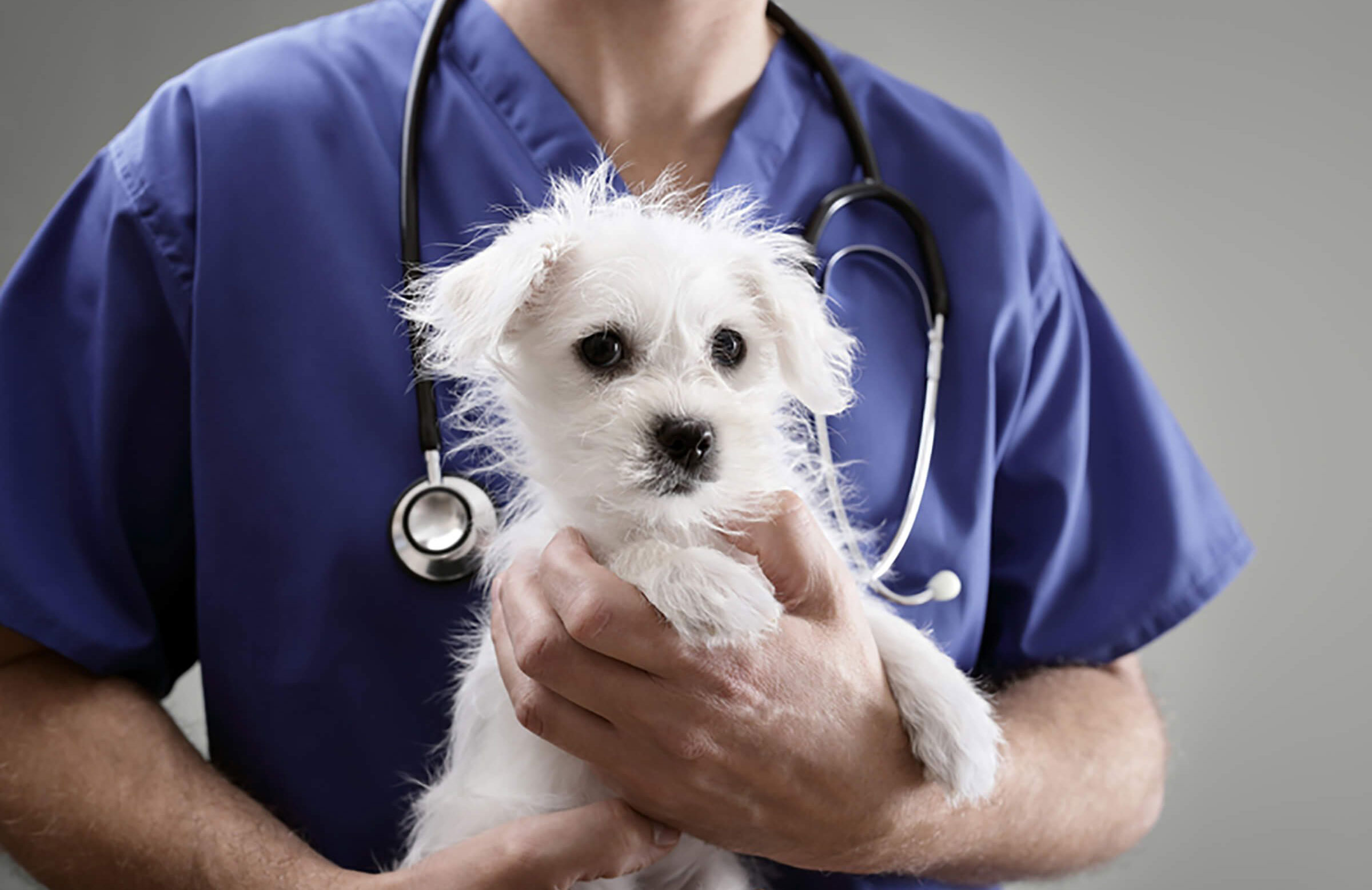 Is there a doctor in the house?