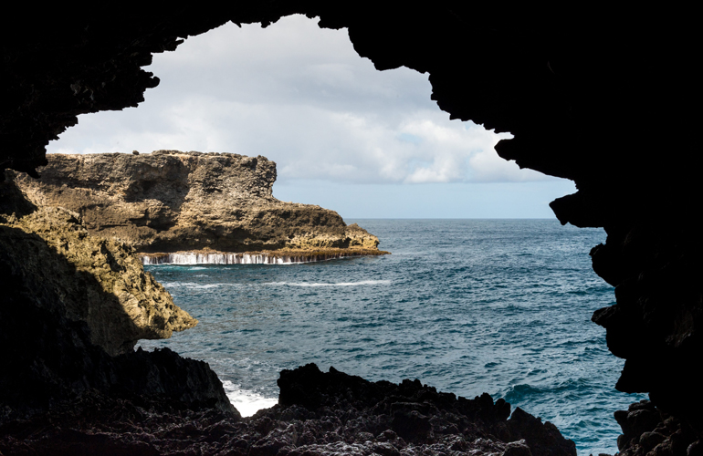 Animal Flower Cave – St Lucy, Barbados