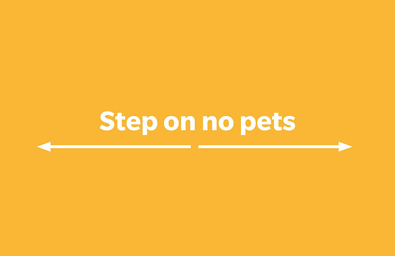 Step on no pets