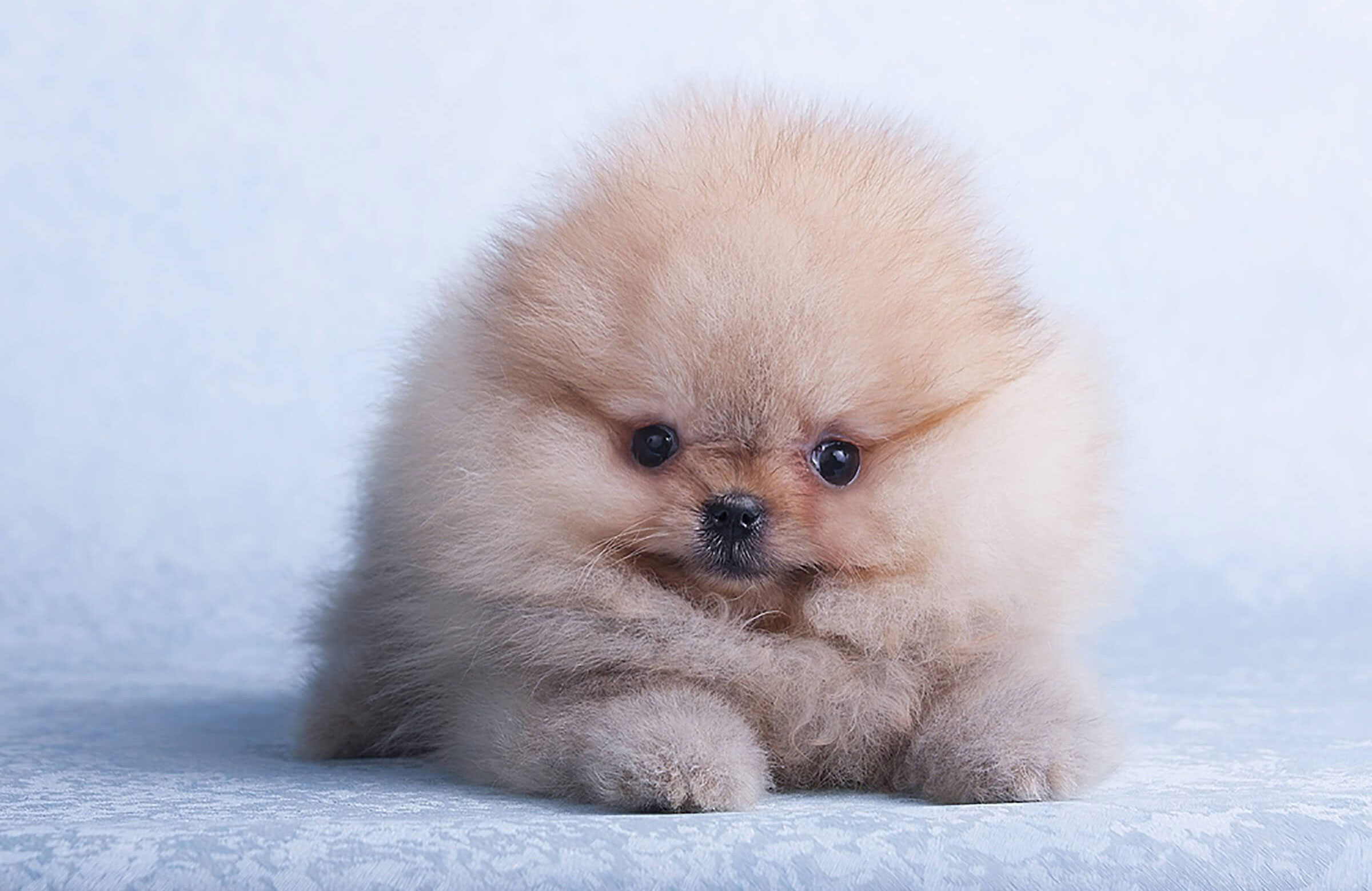 Is it humid out here?