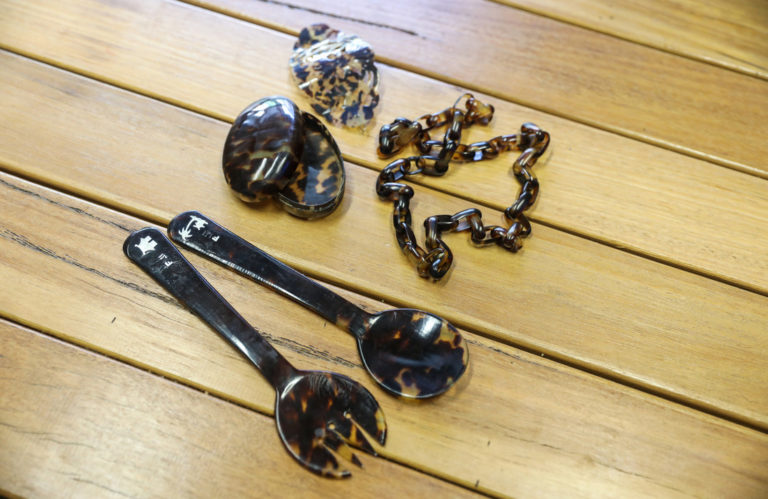 SURRENDER YOUR SHELL: Why we’re being urged to give up our tortoiseshell