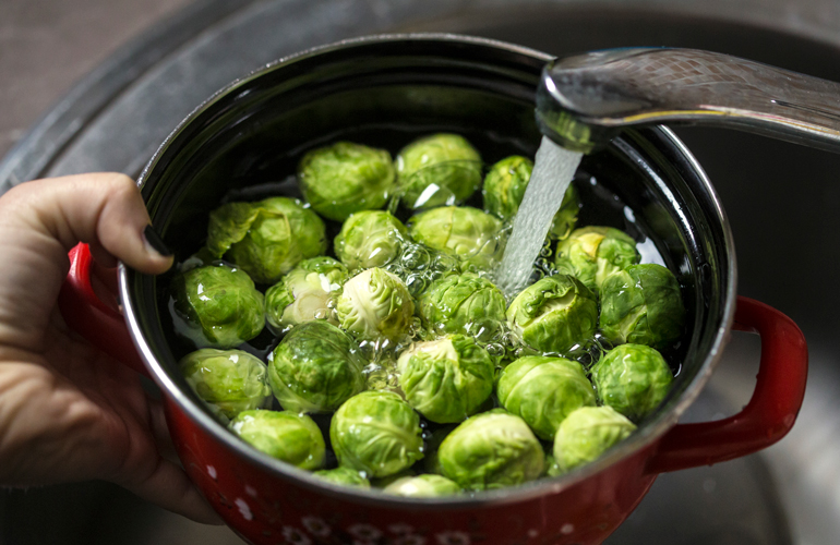Provide plant-based protein