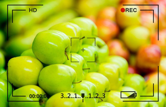 Fruit by the foot