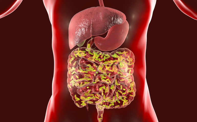 How healthy is your microbiome?