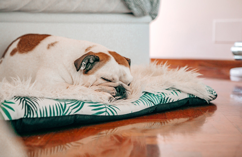 A sleep expert’s perspective