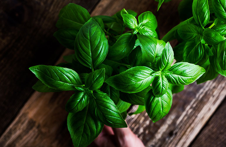 How to get herbs to last longer