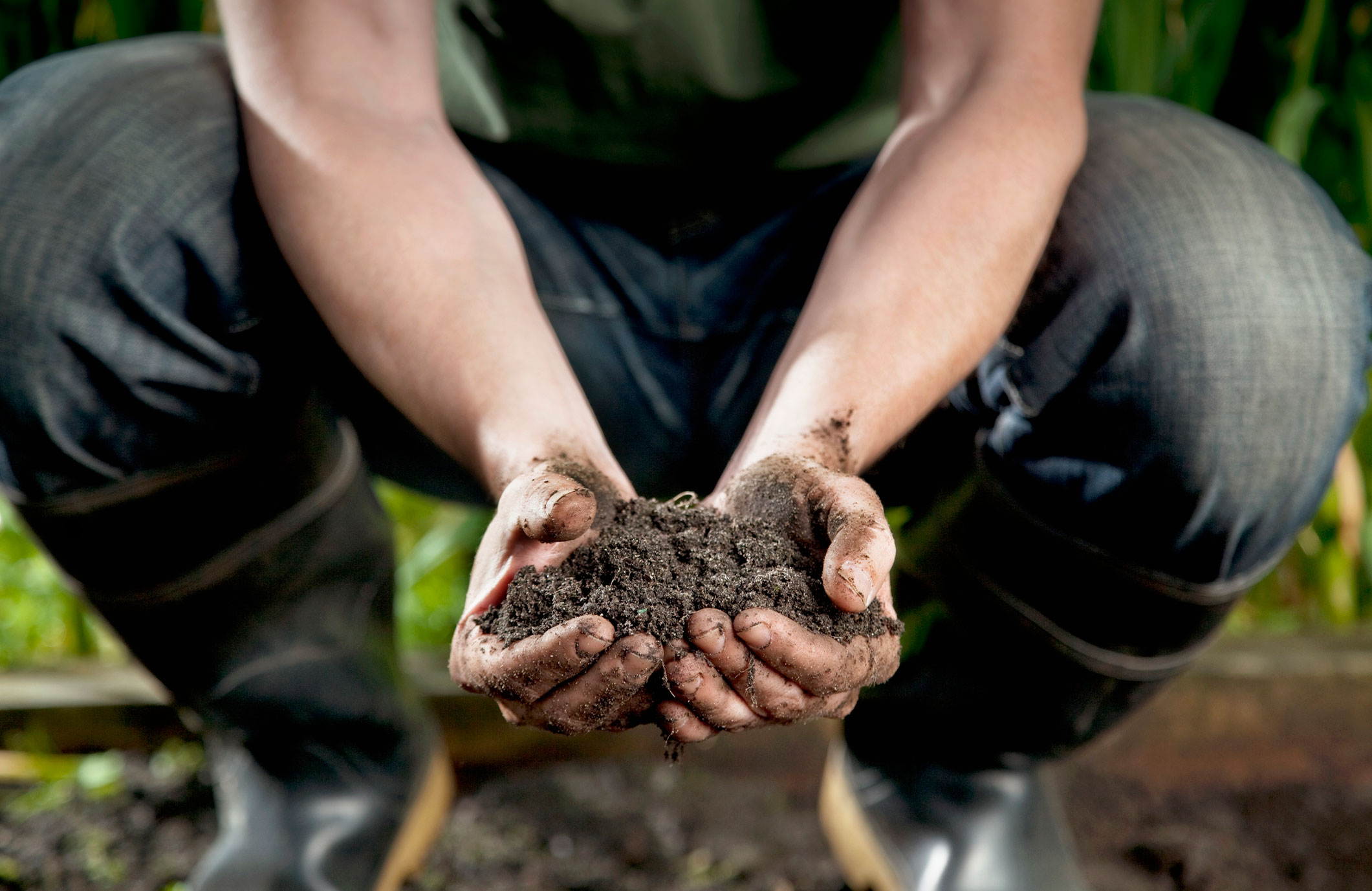 Learning your soil type is key