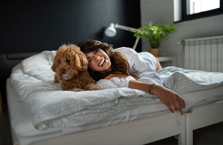 Rules for letting the dog sleep in the bed