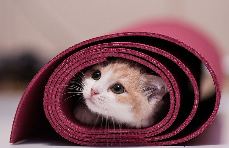 The most natural yogis out there