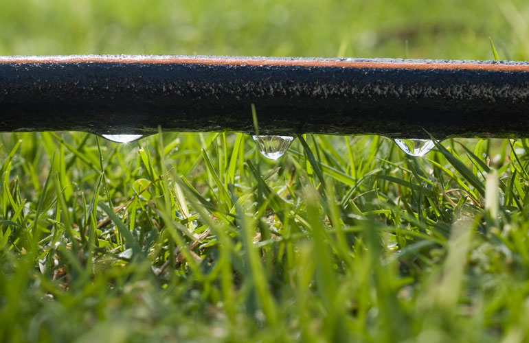 Experienced gardeners swear by soaker hoses