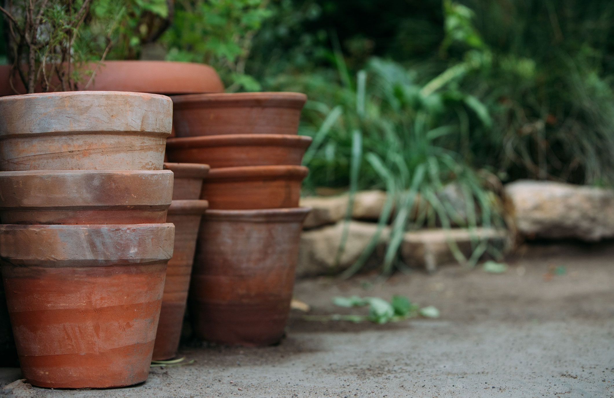 Starting a garden is expensive