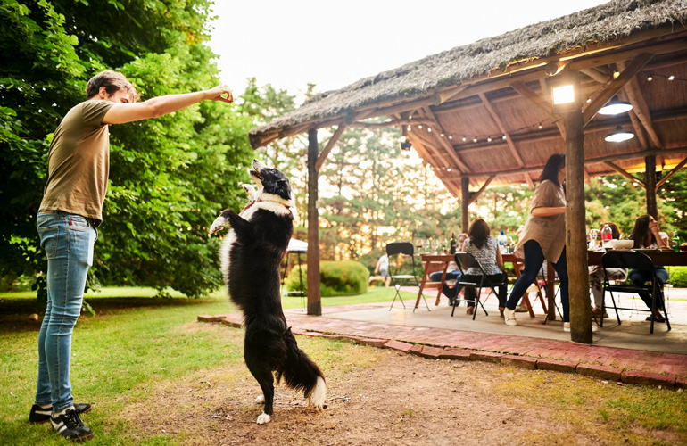 What is avoidance behaviour?