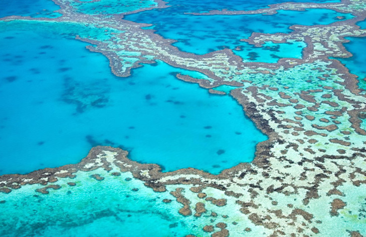 Great Barrier Reef, Australia