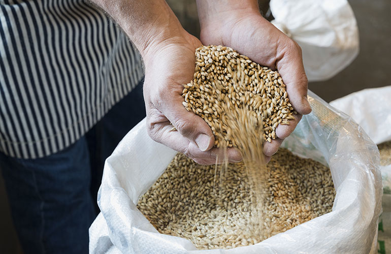 Whole grains