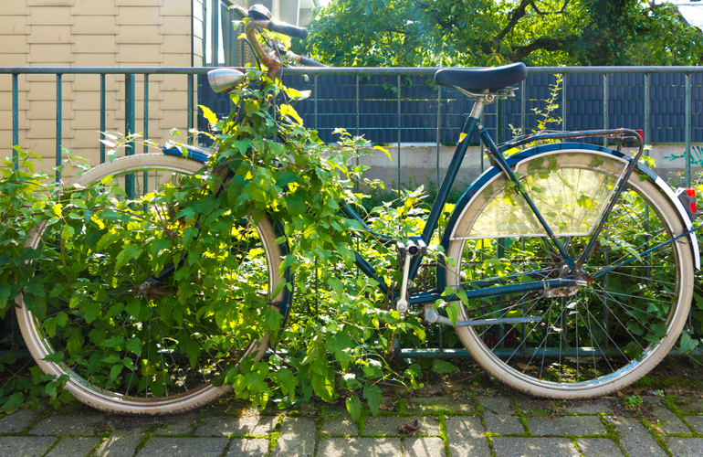 An unsightly yard