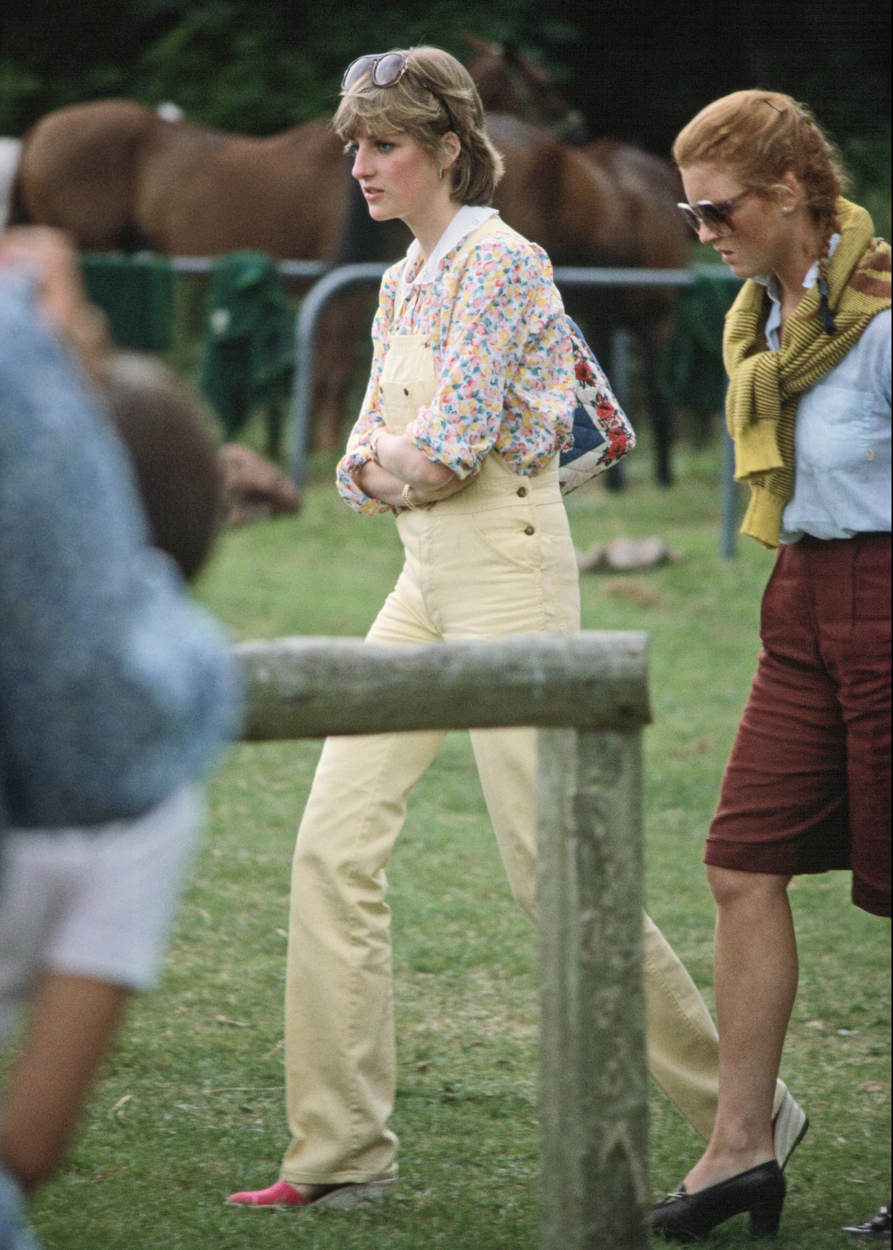 1981
