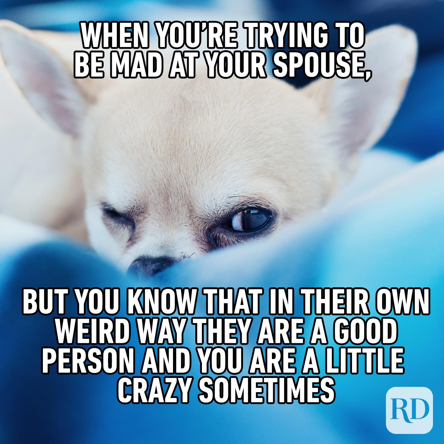 Go away, I’m trying to be angry