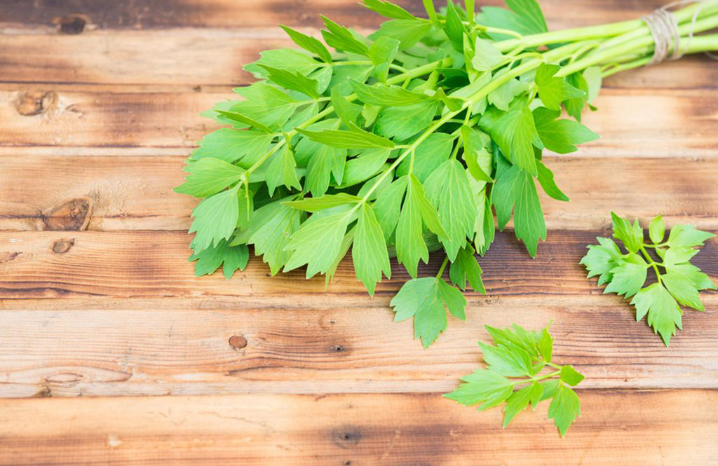 Celery leaves
