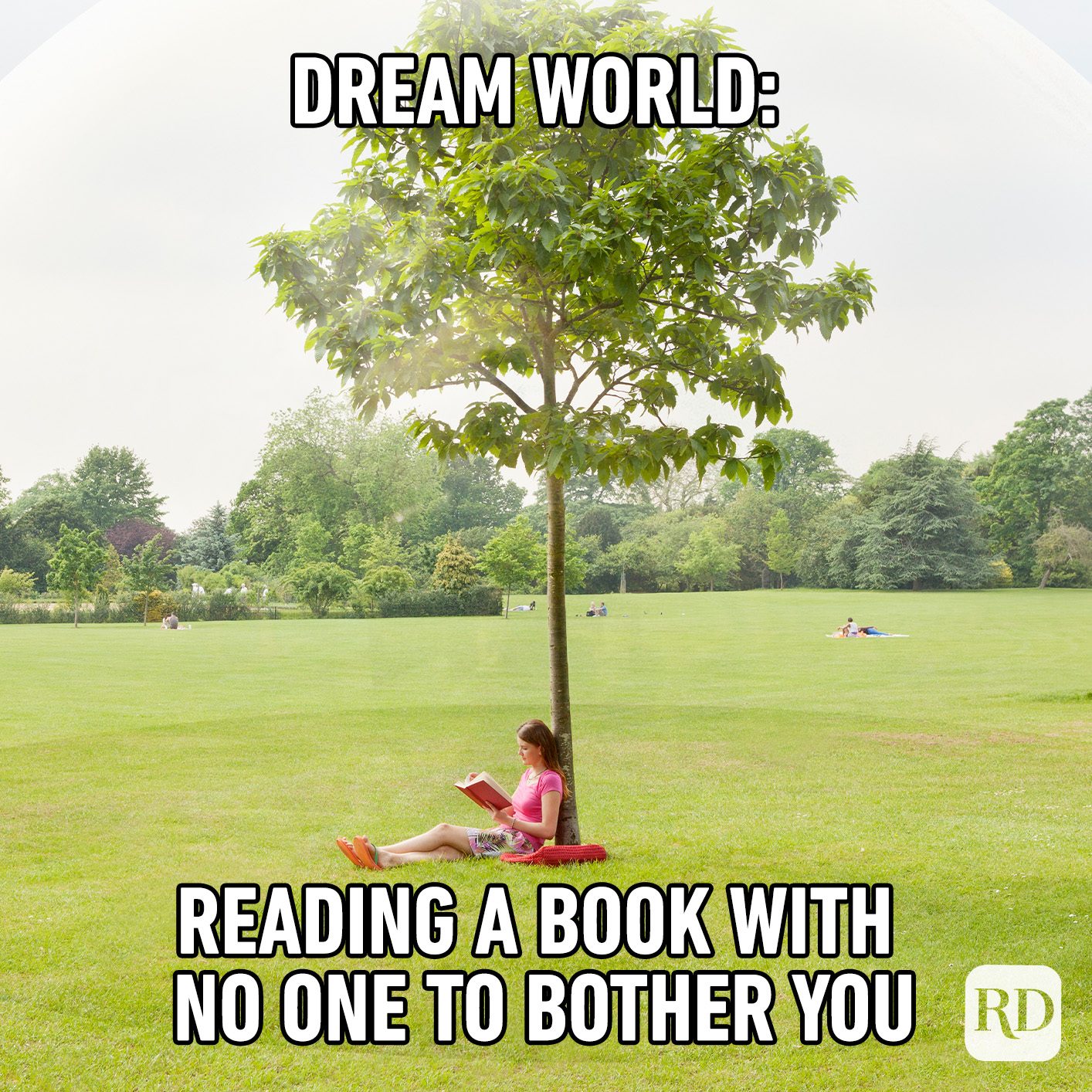Ideal setting